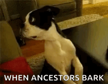 Barking Ancestors