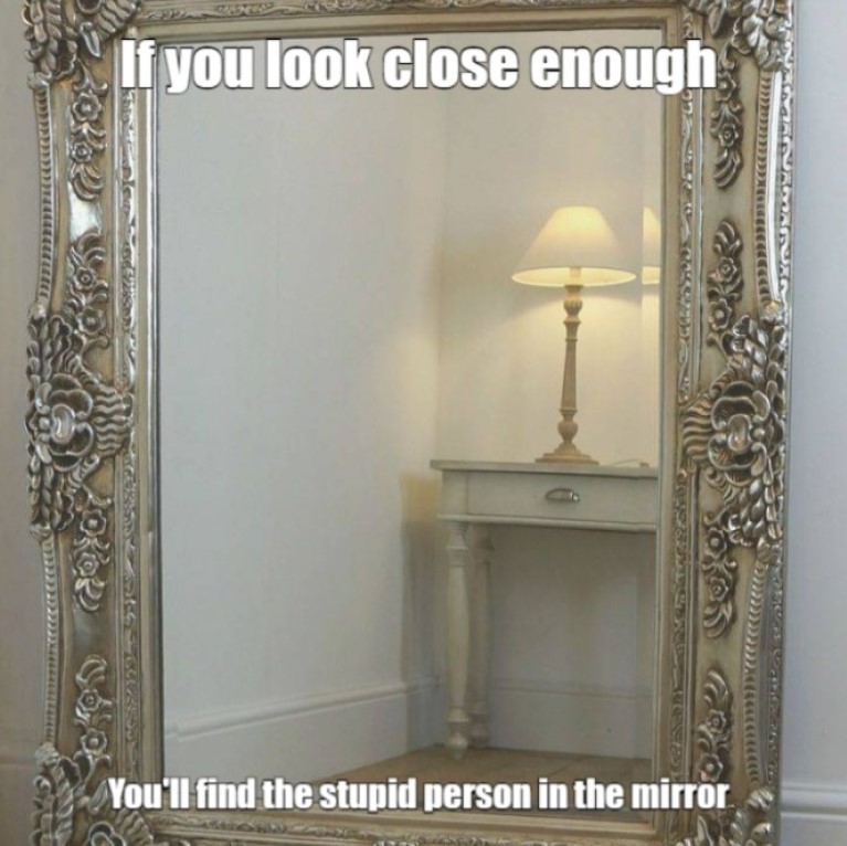 Your dumb mirror