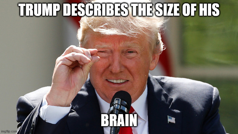 Trump describes the size of his