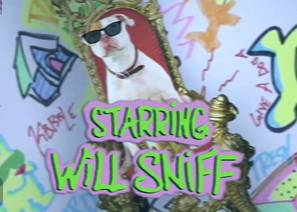 Will Sniff from the fresh prince of bell air
