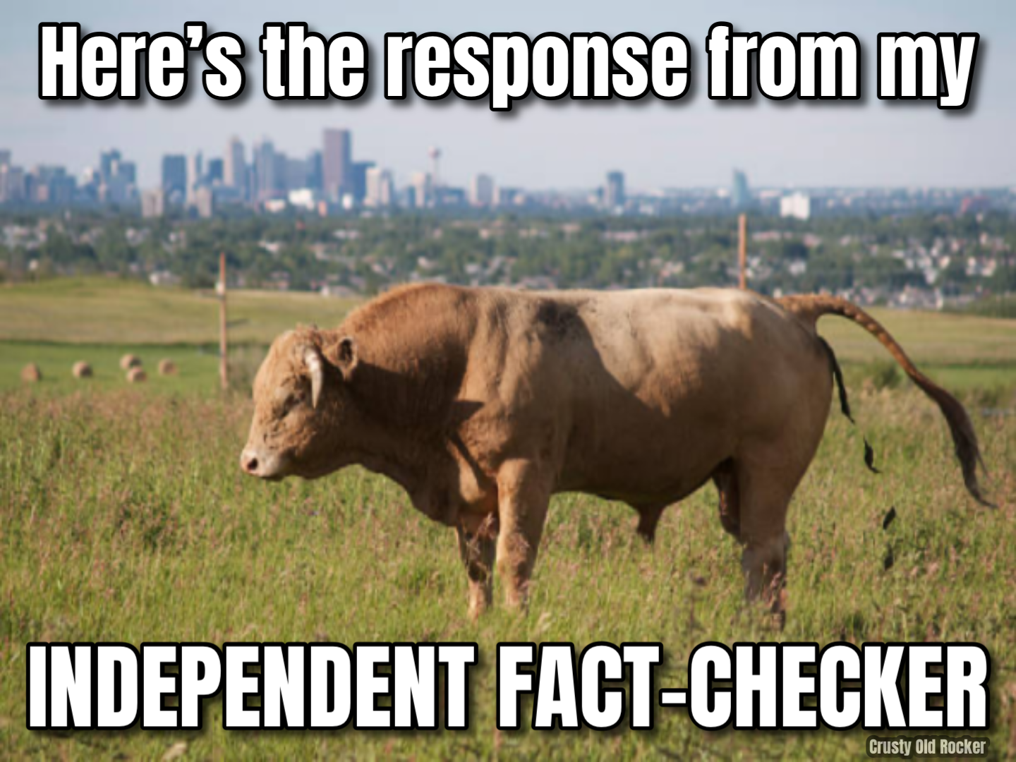 FB Independent Fact Checker