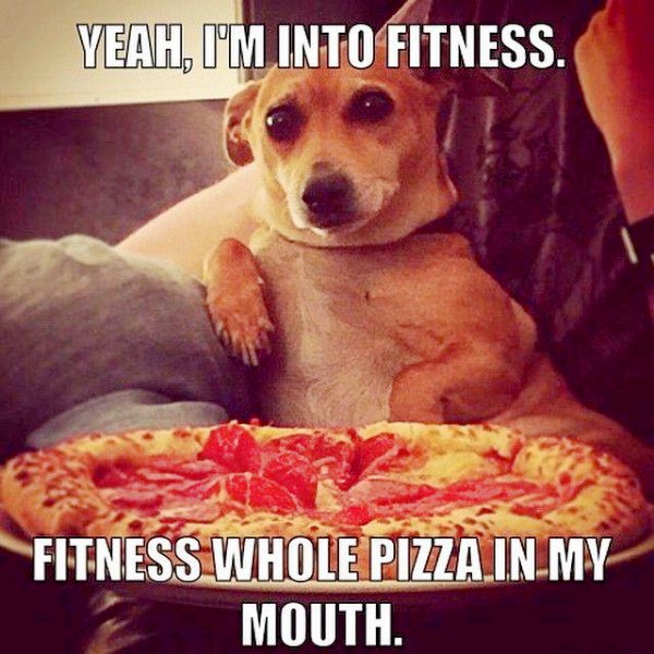 Fitness doggo loves his pizza
