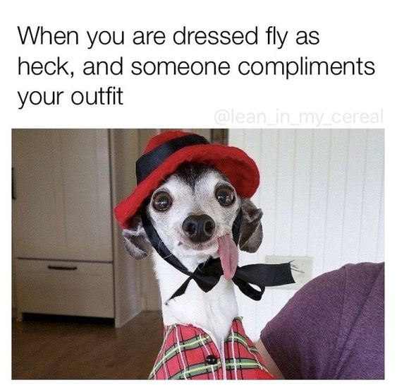 When you are dressed fly as heck, and someone compliments your outfit