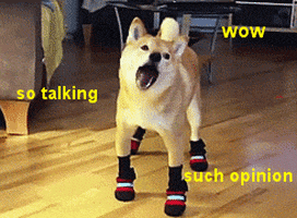 Doge talking. So talking. Such opinion. Wow.